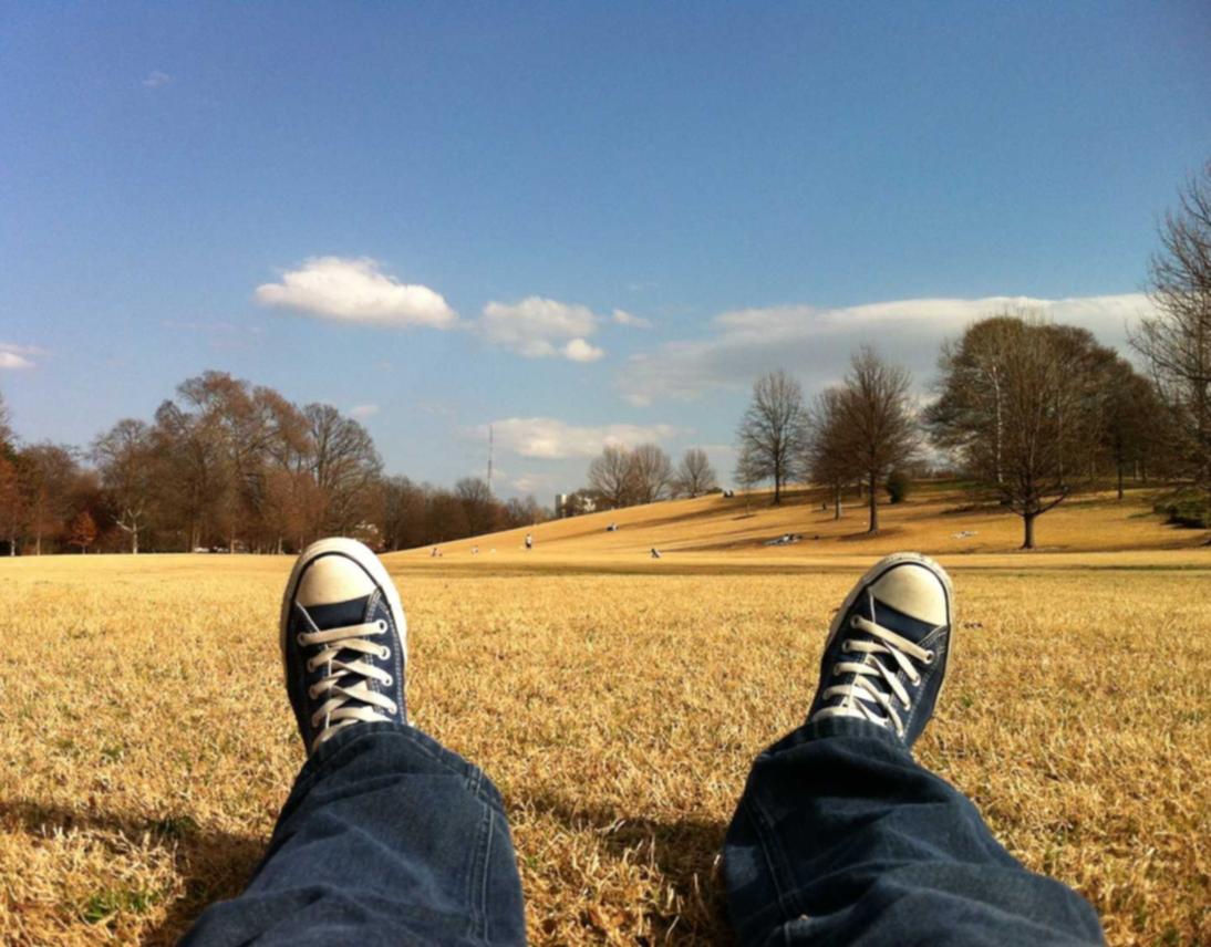 蜂巢互联实名账号：流量卡的智能化服务