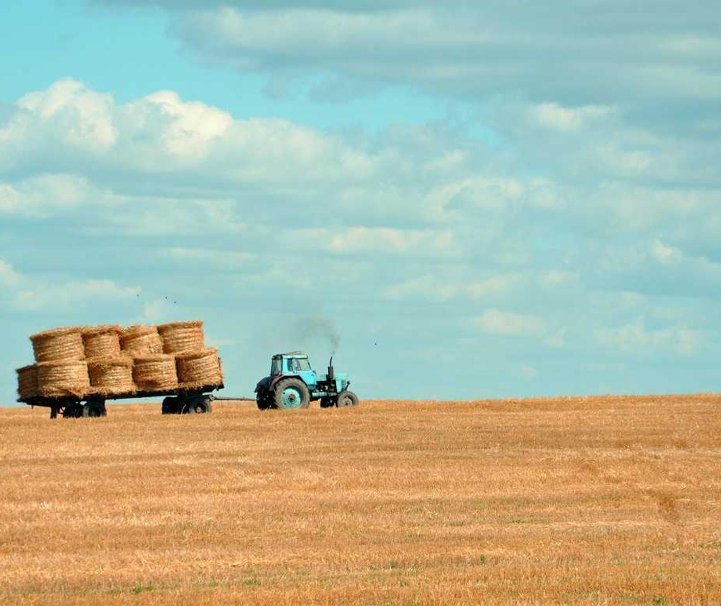 如何使用SEO来提高您的内容创作