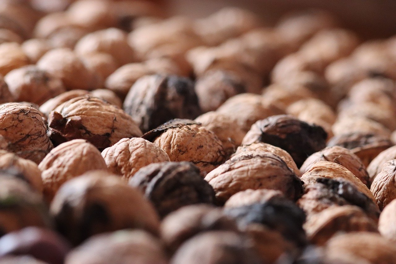 华夏修魔世界：广州荔湾公司注册代理费用