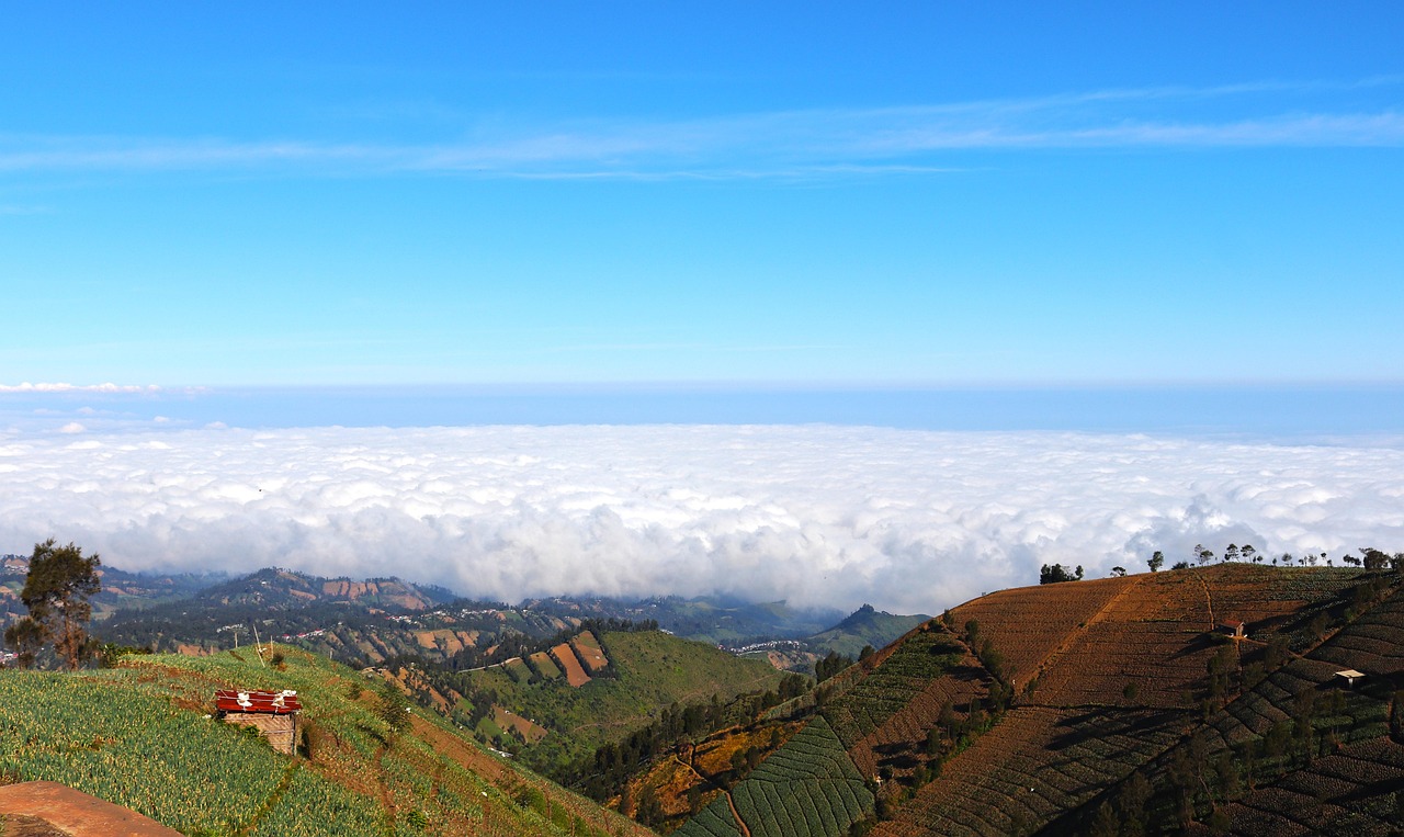 肥东工商注册代理找哪家