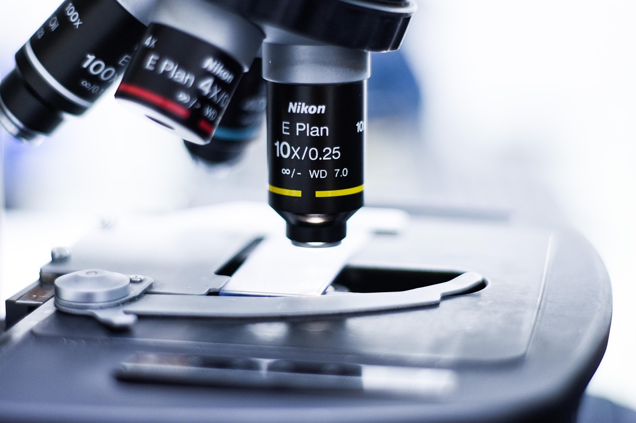 自己注册域名和代理注册