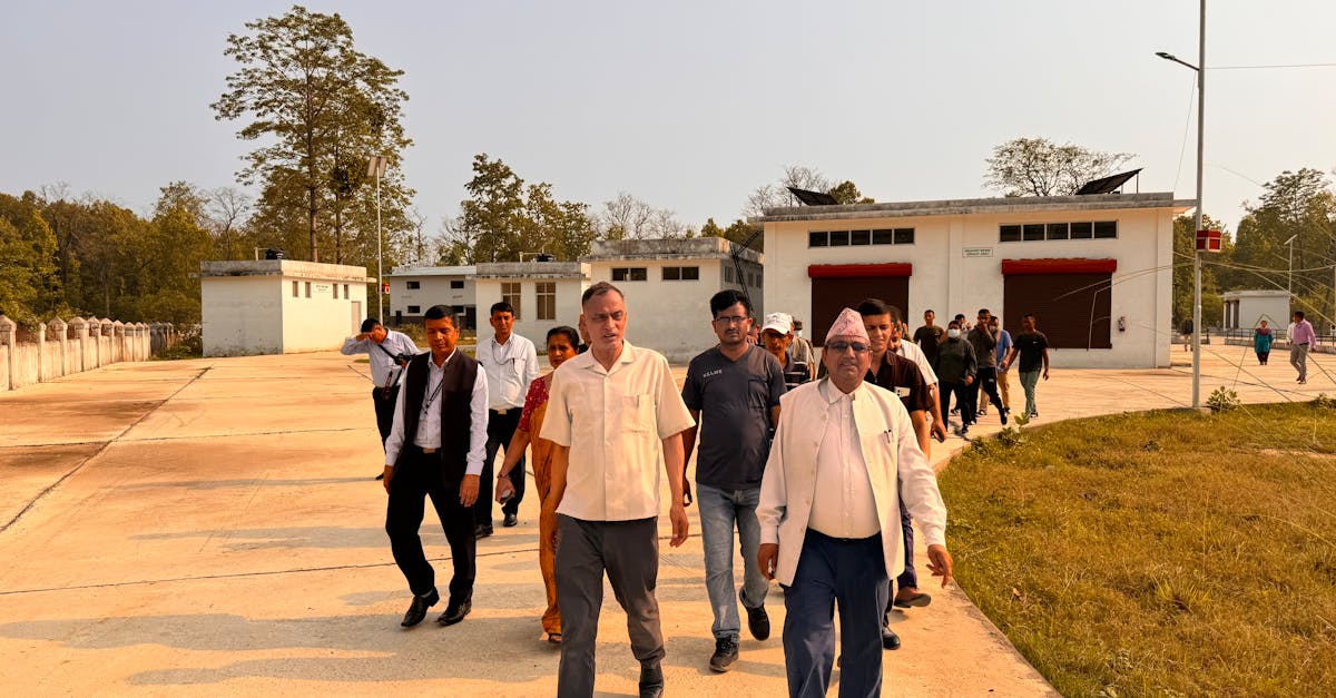 Mad World（疯狂的世界）辅助- 风行播控平台开户超时