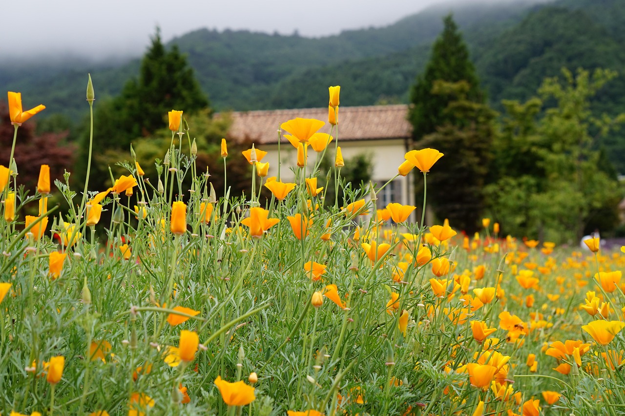 出各种微信号:详情下载教程学习通app