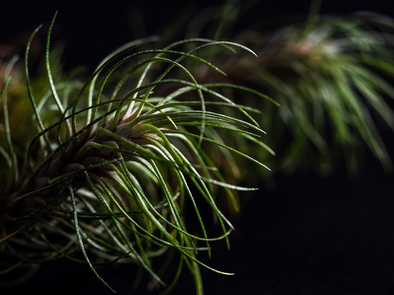 战双帕弥什:雅博团队竞技app详情下载教程地址