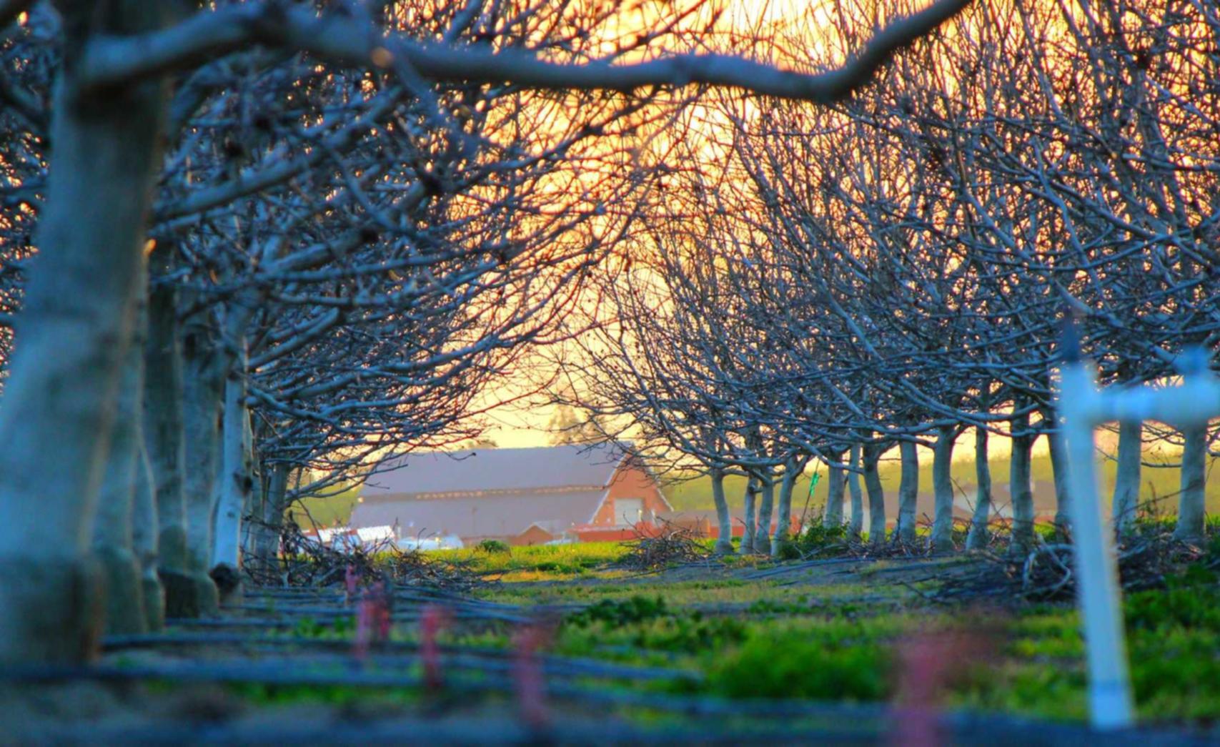 如何使用结构化数据标记来提高搜索排名